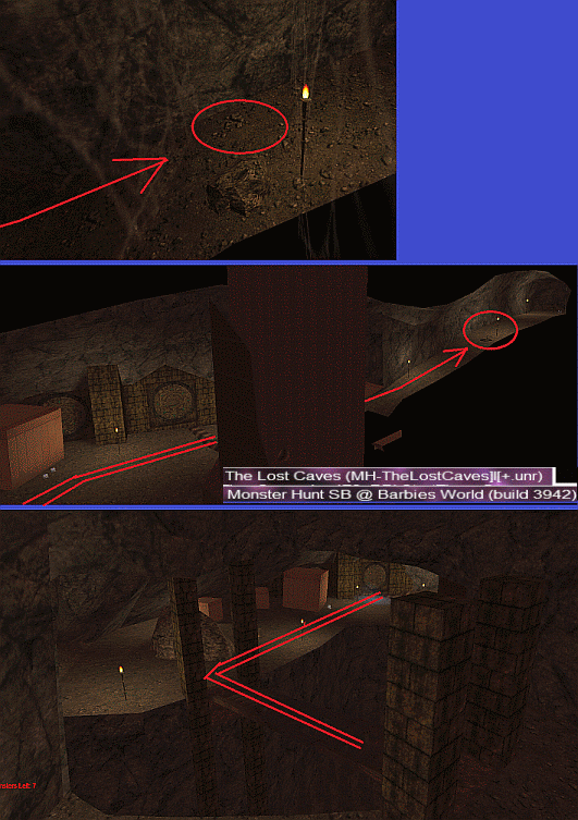 bug_MAP-MH-the_Lost_caves_2022_02_20_nbd.gif