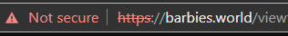 https_hostname.png